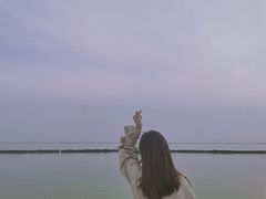 -合肥滨湖国家森林公园