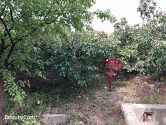 -祥源·阜阳生态乐园