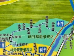 -汤旺河林海奇石景区