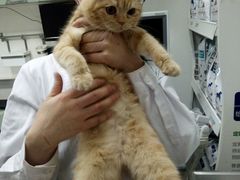 -康乐宝动物医院