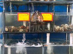 -蚝专家(北滘店)