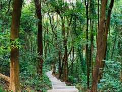 -广州市帽峰山景区