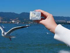 -昆明冠生园·蛋糕·面包(南强街店)