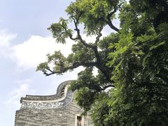 -碧江金楼