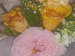 -循礼门鲜花花市(武汉循礼门店)