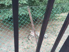 -石家庄市动物园