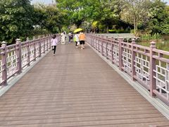 -海珠湖公园
