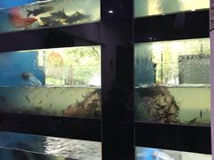 -全乐鱼馆·淳牌有机鱼直营店