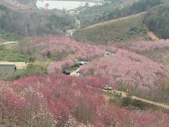 -冶父山国家森林公园