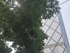 -中央广播电视总台(光华路办公区)