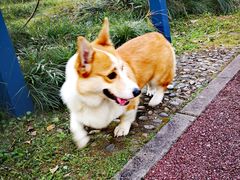 -白鹭湾湿地公园