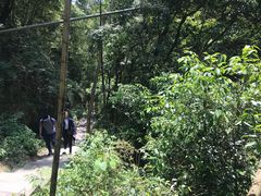 -宁波五龙潭景区