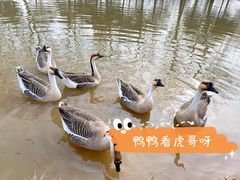 -西安浐灞国家湿地公园