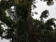 -成都杜甫草堂博物馆