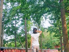 -阳台山自然风景区