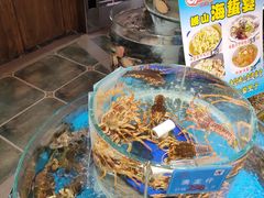 -乔家小院•非遗驴肉•本地小海鲜(滨河路店)