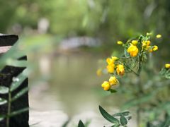 -宁波九龙湖开元度假村