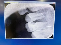 -泰康拜博口腔(凯迪大厦店)