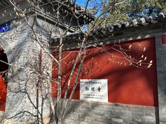 -红螺寺