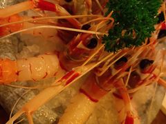 -斯普汇生蚝牛排馆(中骏世界城店)