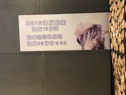 -ODIN 奥丁形象设计 