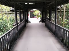 -南汇水蜜桃采摘(大团店)