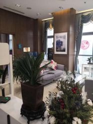 -北京米扬丽格医疗美容·联合丽格鼻整形中心