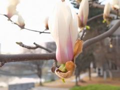 -河海大学(江宁校区)
