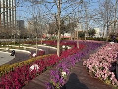 -上海港国际客运中心