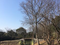 -西溪国家湿地公园