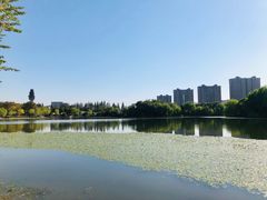 -杭州城北体育公园