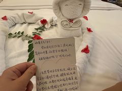 -三亚亚龙湾铂尔曼别墅度假酒店