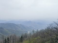 -莫干山风景区