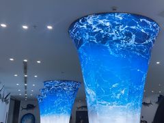 -深海中餐厅(国家海洋博物馆店)