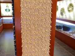 -璞真扎染博物馆