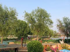 -长春市南湖公园