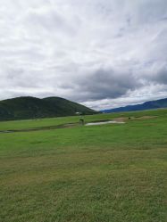 -纳帕海依拉草原