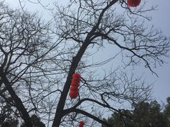 -兴福老面馆(寺路街店)