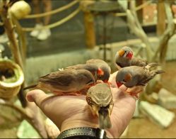 -Zoolung Zoolung动物主题公园(海信广场店)