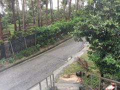 -白沙湾海滩