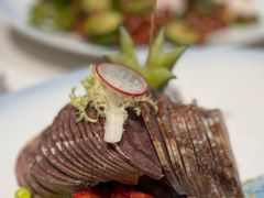 -马白开来特色羊排揪片子  (总店)