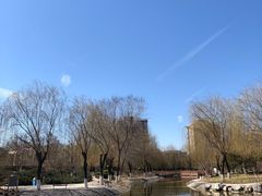 -丰台科技园生态主题公园