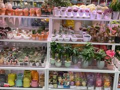-KKV(上海月星环球港店)