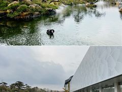 -罗红摄影艺术馆