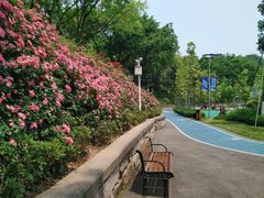 -重庆平顶山公园