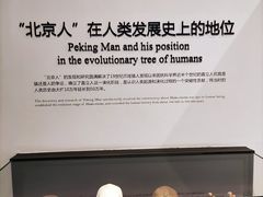 -北京周口店北京人遗址博物馆