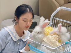 -怪兽屋·羊驼·猫咖·狗咖(俊华广场店)