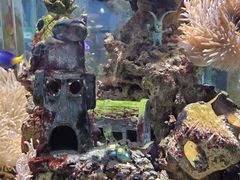 -太平洋海底世界