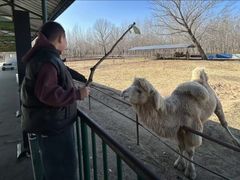 -秦皇岛野生动物园