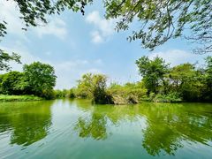 -西溪国家湿地公园